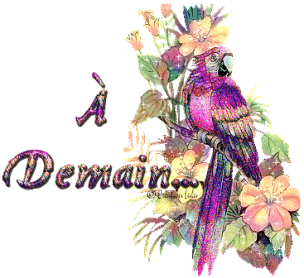 Bizzzzzzzzzzz et bonne nuit